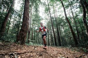 BIB: 
                            <button type="button" onclick="openModal(25261345)" class="btn btn-primary btn-sm float-right btn-popup" data-toggle="modal" data-target=".modal-high-quality">
                        <i class="fas fa-shopping-cart"></i> Add to Cart
                    </button>
                                            <button type="button" onclick="isThisMe(25261345, true)" class="btn btn-success btn-sm float-right btn-popup btn-isme hidden" data-toggle="tooltip" data-placement="bottom" title="นี่คือรูปของคุณใช่ไหม คลิกที่นี่เพื่อเอาเข้าอัลบั้ม">
                        <i class="fas fa-plus"></i> Add to album
                    </button>
                    <button type="button" onclick="isThisMe(25261345, false)" class="btn btn-warning btn-sm float-right btn-popup btn-isnotme hidden">
                        <i class="fas fa-ban"></i> Remove from album
                    </button>